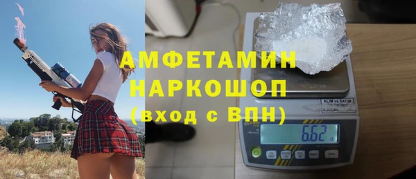 молекула духа Белая Холуница