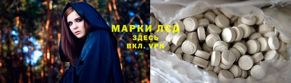 стаф Липки