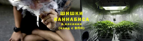 эйфоретик Магас