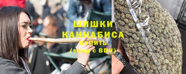 стаф Липки