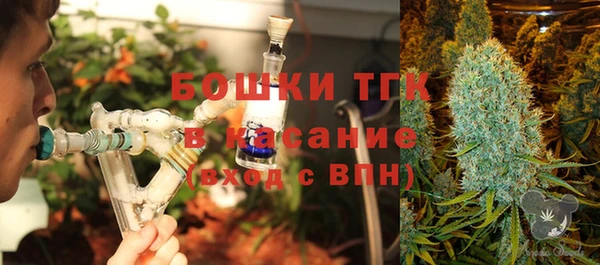 стаф Липки