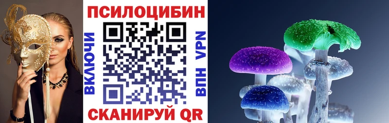 дарнет шоп  Суворов  Галлюциногенные грибы MAGIC MUSHROOMS 