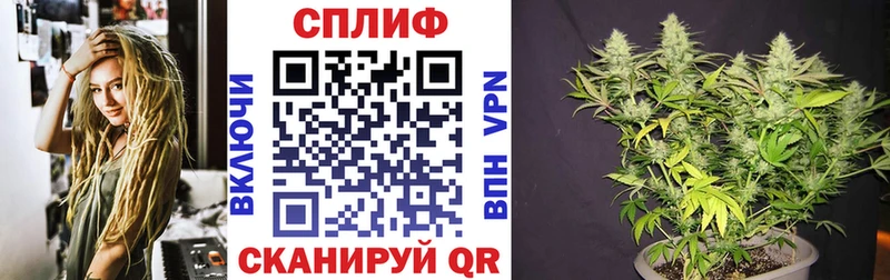 купить закладку  Суворов  МАРИХУАНА индика 